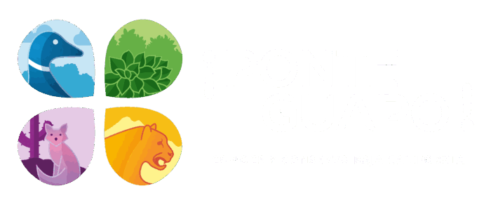 Ponte Guapo · Conoce y conserva Baja California