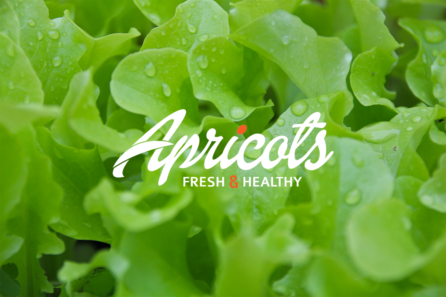 Logotipo de Apricots «Fresh & Healthy» sobre un fondo de hojas de lechuga fresca.