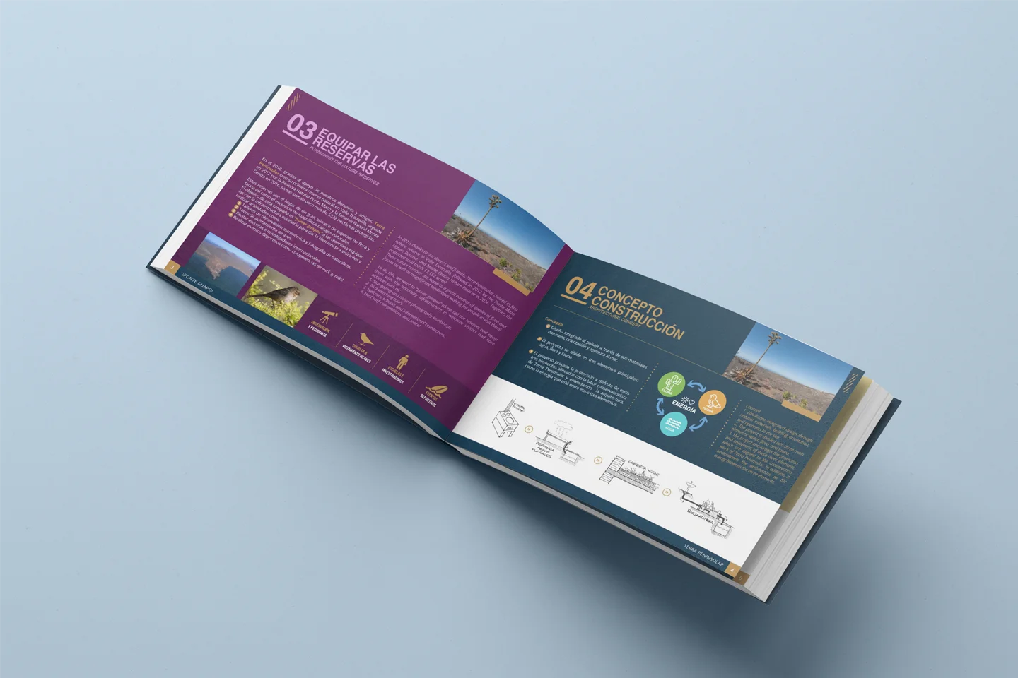 Mockup del brandbook abierto sobre fondo azul.