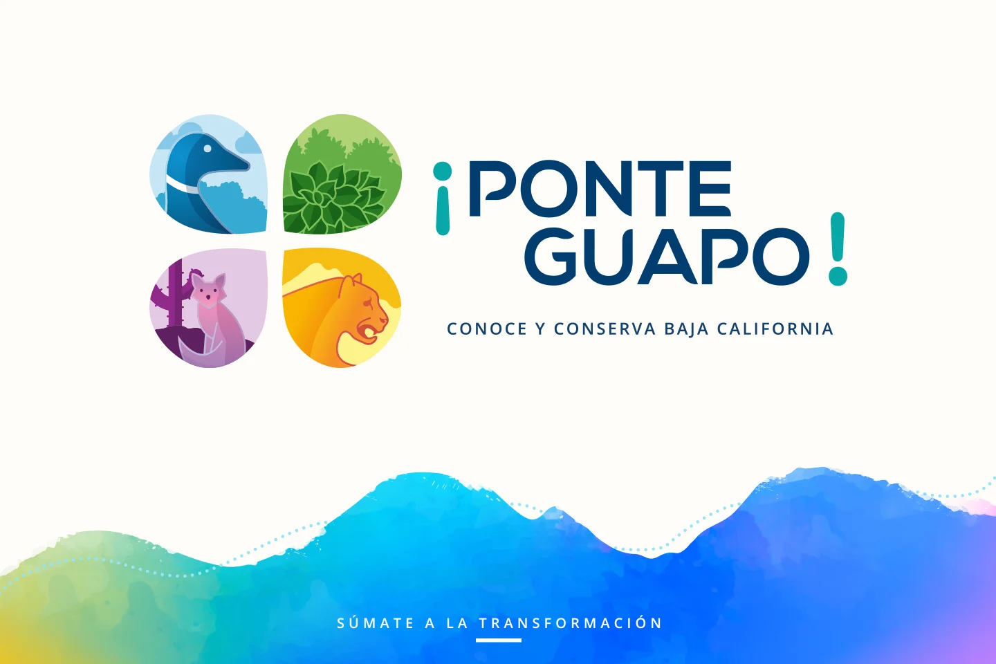 Identidad ¡Ponte Guapo! — Conoce y conserva Baja California, con las cuatro especies endémicas y un paisaje de montañas en acuarela.